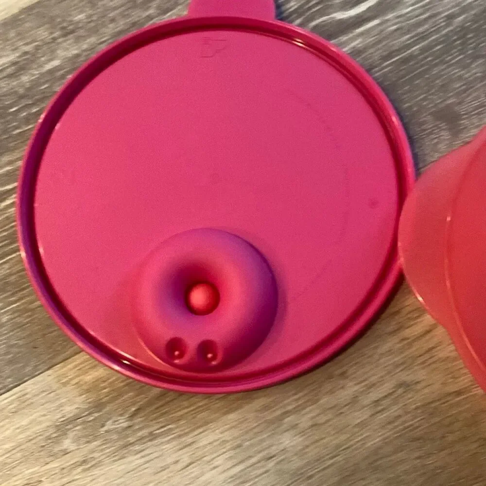 Tupperware 3859A-1 Divided Compartment Microwavable Bowl With Lid 2649F-4